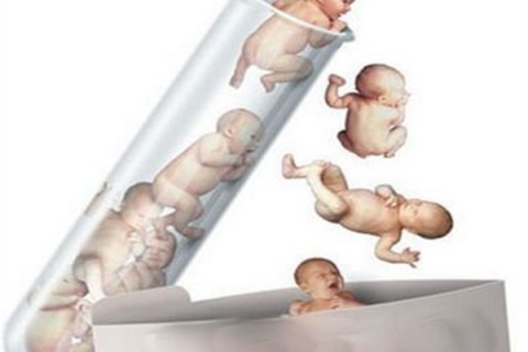 http://nanjing.dacou.net/post/194.html|南京新闻中心